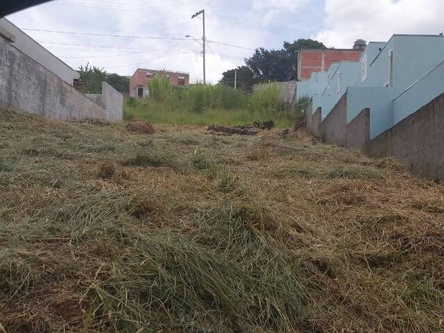 #12 - Área para Venda em Jarinu - SP