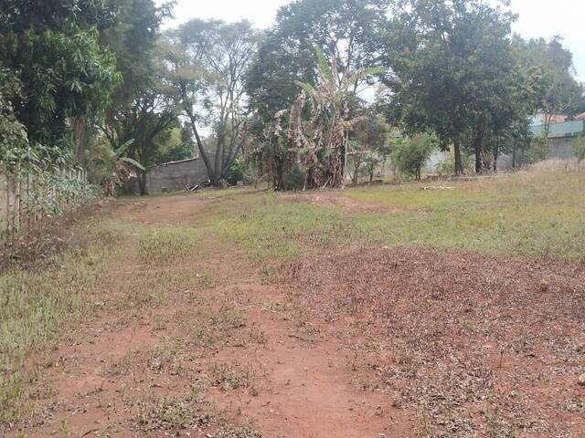 #16 - Área para Venda em Jarinu - SP