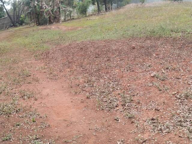 #16 - Área para Venda em Jarinu - SP