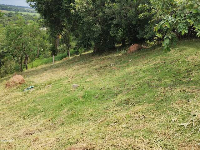 #18 - Área para Venda em Jarinu - SP