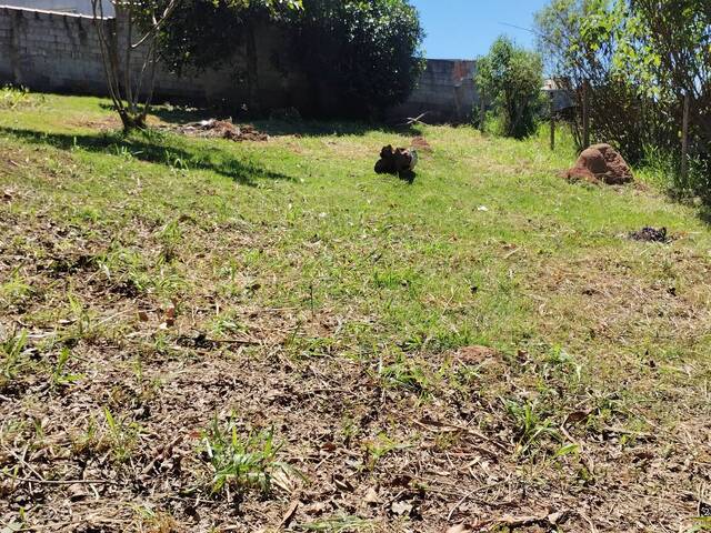 Área para Venda em Jarinu - 4