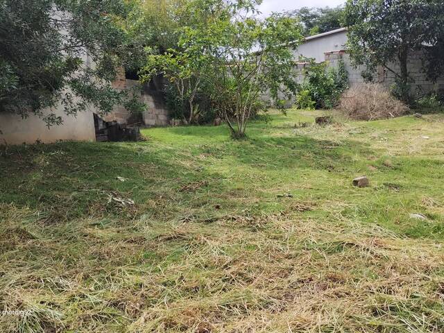Área para Venda em Jarinu - 5